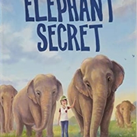 Review: Elephant Secret