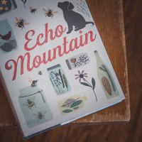 Review / Echo Mountain