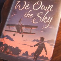 Review / We Own the Sky